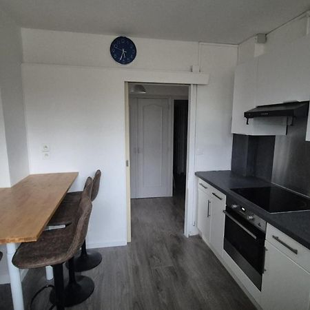 Appartement Spacieux & Paisible Meythet Екстериор снимка